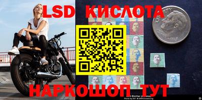 наркотики Кингисепп