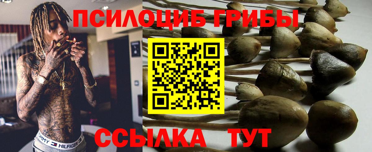 Галлюциногенные грибы Psilocybine cubensis  хочу наркоту  Красный Сулин  Вход с VPN  Галлюциногенные грибы ЛСД 
